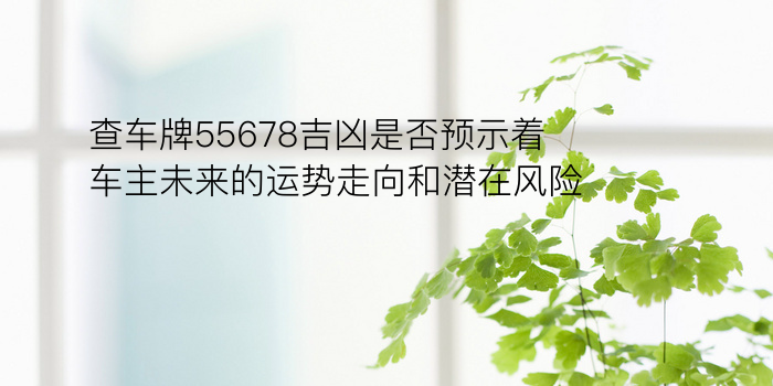 查车牌55678吉凶是否预示着车主未来的运势走向和潜在风险