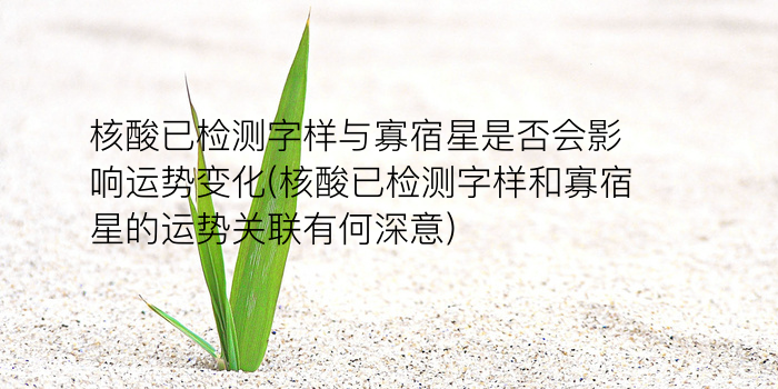 诸葛测字中华网游戏截图