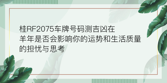 属虎的婚配属相游戏截图