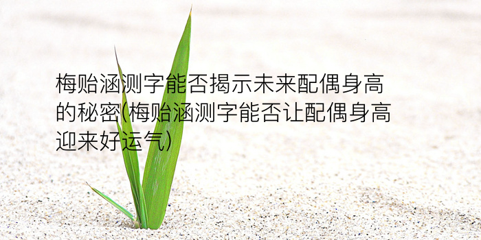 瓷都算命免费游戏截图