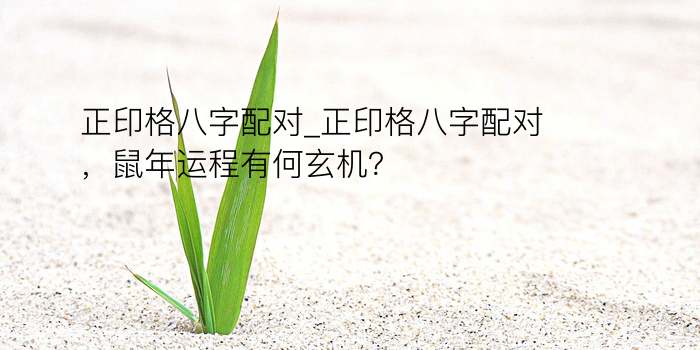 正印格八字配对_正印格八字配对，鼠年运程有何玄机？