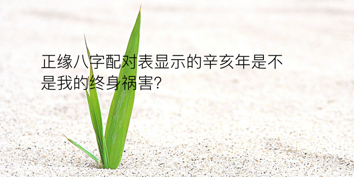 八字推运程游戏截图