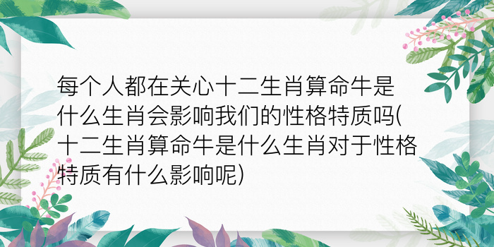 二零二算运网