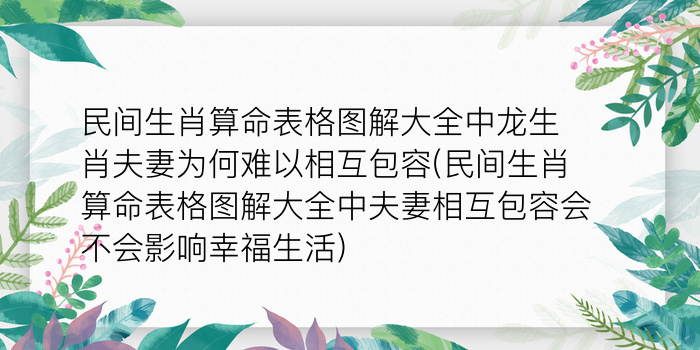 二零二算运网