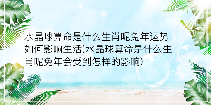 水晶球算命是什么生肖呢兔年运势如何影响生活(水晶球算命是什么生肖呢兔年会受到怎样的影响)