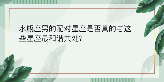 十二星座男女最佳配对游戏截图