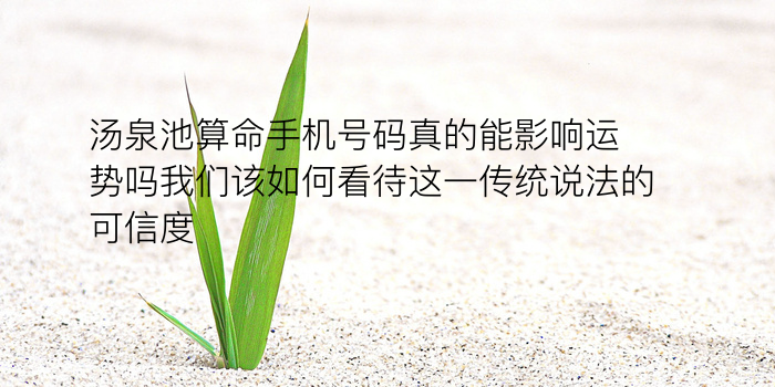 生肖配对表格游戏截图