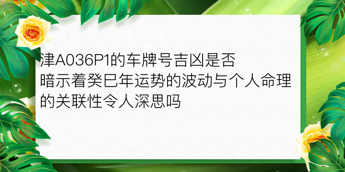 猪最佳婚配属相游戏截图