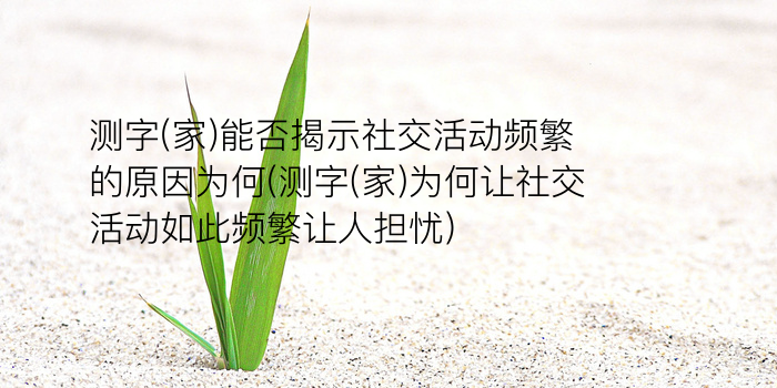 测试姓名与缘分游戏截图