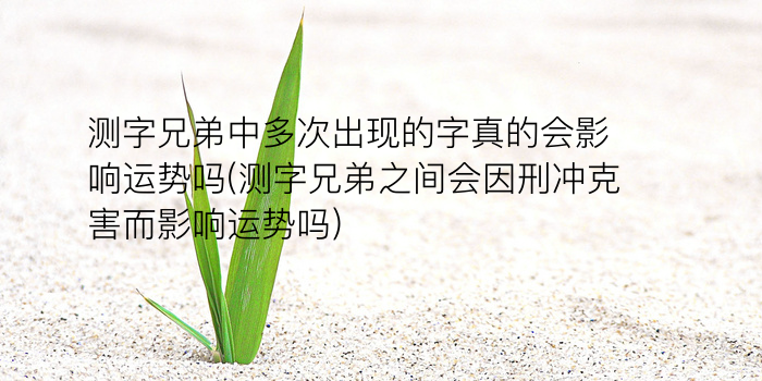 免费算命大师游戏截图