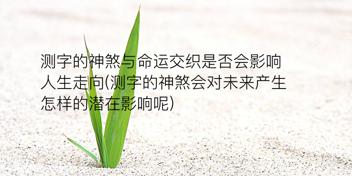 周易测字算命游戏截图