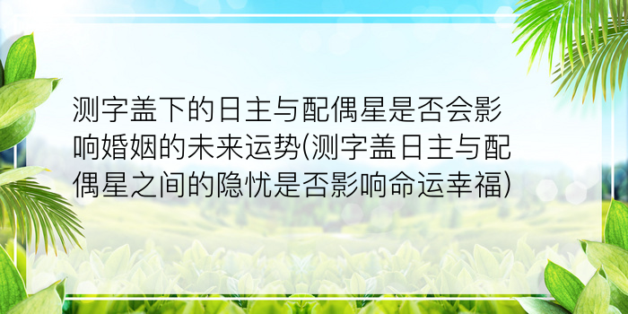 诸葛测字331游戏截图