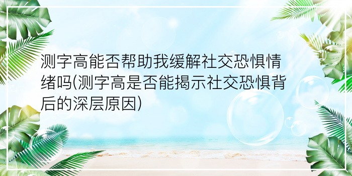 测字高能否帮助我缓解社交恐惧情绪吗(测字高是否能揭示社交恐惧背后的深层原因)