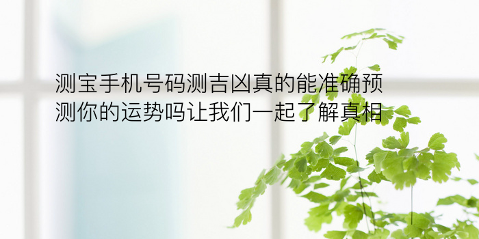 测宝手机号码测吉凶真的能准确预测你的运势吗让我们一起了解真相