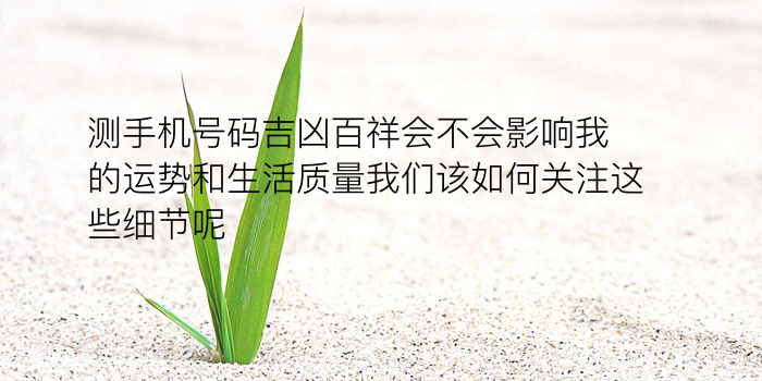 生日灵数配对姻缘游戏截图