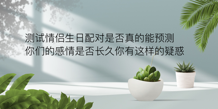 十二生肖五行配对表游戏截图