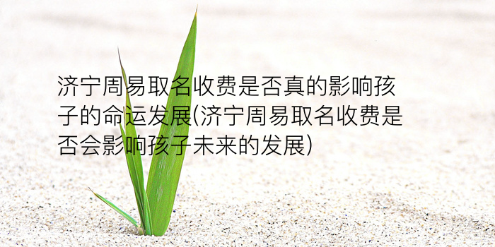 周易企业取名游戏截图