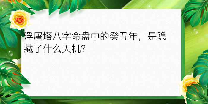 八字终身运程详批游戏截图