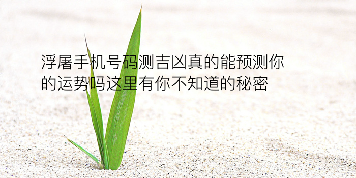 浮屠手机号码测吉凶真的能预测你的运势吗这里有你不知道的秘密