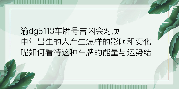 渝dg5113车牌号吉凶会对庚申年出生的人产生怎样的影响和变化呢如何看待这种车牌的能量与运势结合