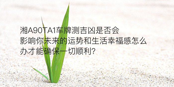 手机号魔力配对游戏截图