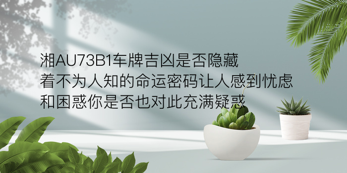 生肖配对表格游戏截图