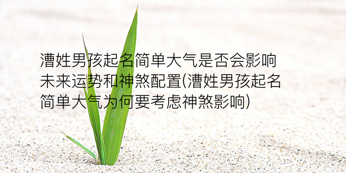 卫浴公司起名游戏截图