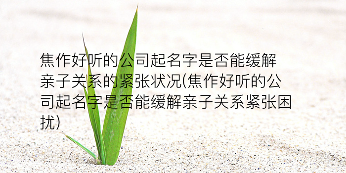 周易生辰八字取名字游戏截图