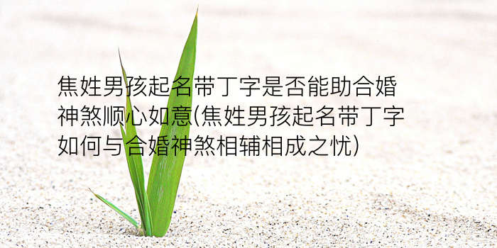 仝姓男孩起名字游戏截图