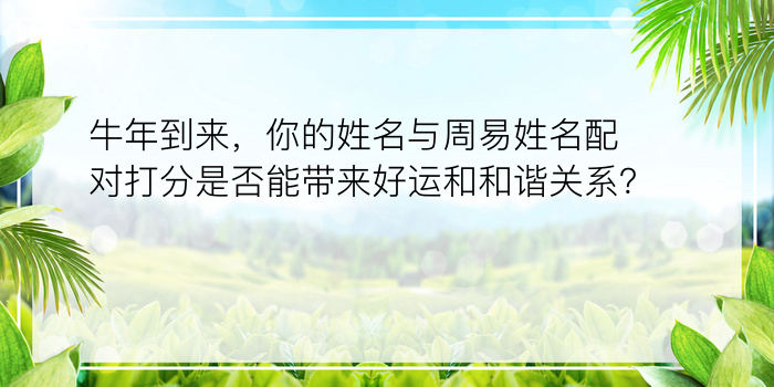 牛年到来，你的姓名与周易姓名配对打分是否能带来好运和和谐关系？