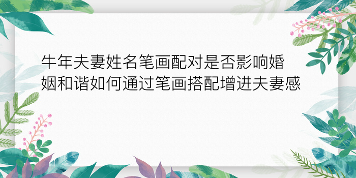 算命生日配对游戏截图