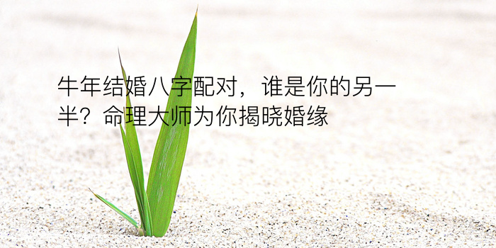 宝宝起名大全生辰八字游戏截图