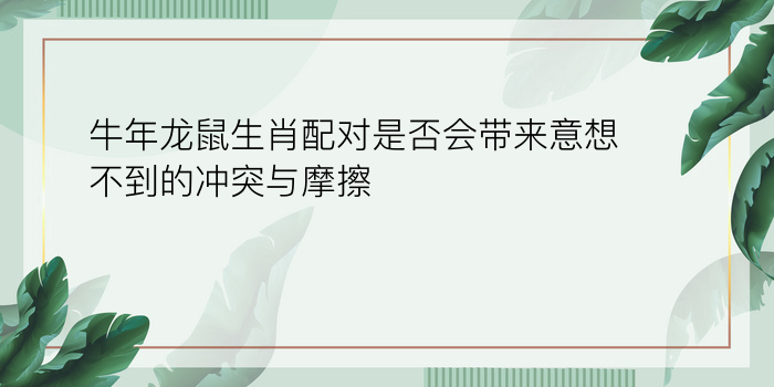 牛年龙鼠生肖配对是否会带来意想不到的冲突与摩擦