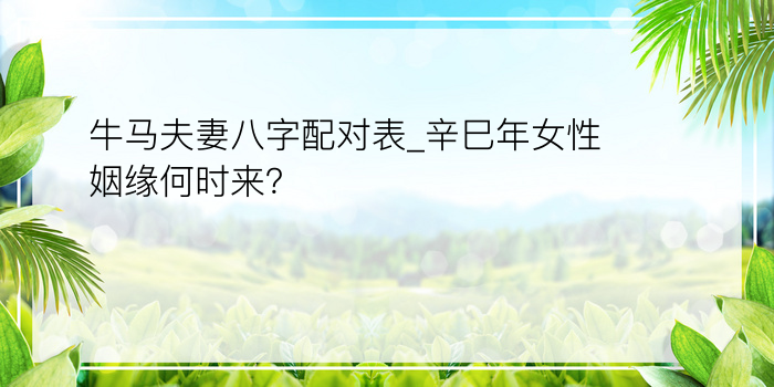 牛马夫妻八字配对表_辛巳年女性姻缘何时来？