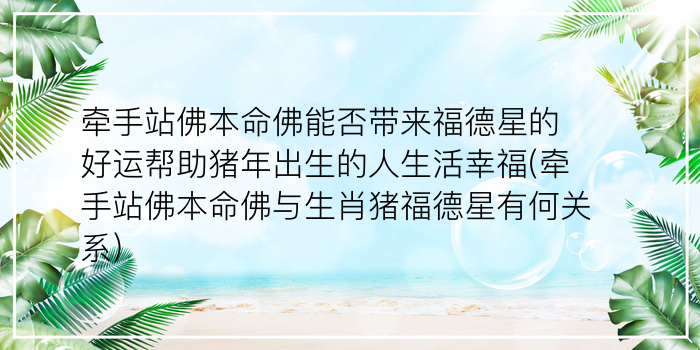 算命测字什么生肖最准游戏截图