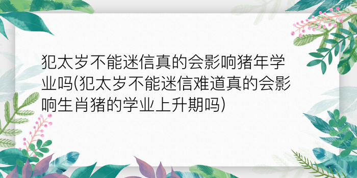 犯太岁不能迷信真的会影响猪年学业吗(犯太岁不能迷信难道真的会影响生肖猪的学业上升期吗)