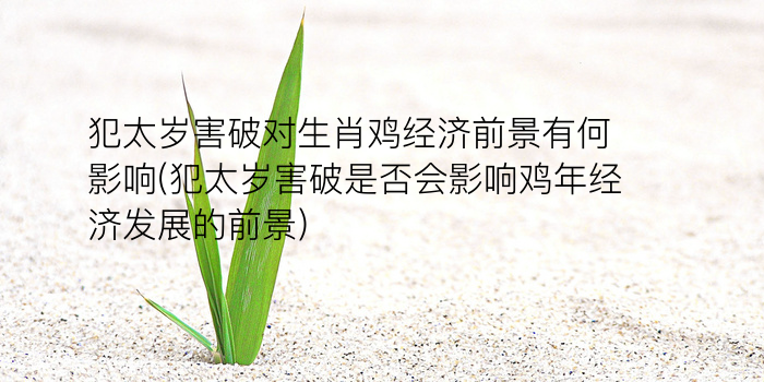 生肖算命窗口游戏截图