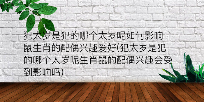 犯太岁是犯的哪个太岁呢如何影响鼠生肖的配偶兴趣爱好(犯太岁是犯的哪个太岁呢生肖鼠的配偶兴趣会受到影响吗)