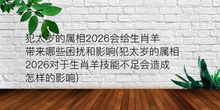 哪个生肖代表看相算命游戏截图