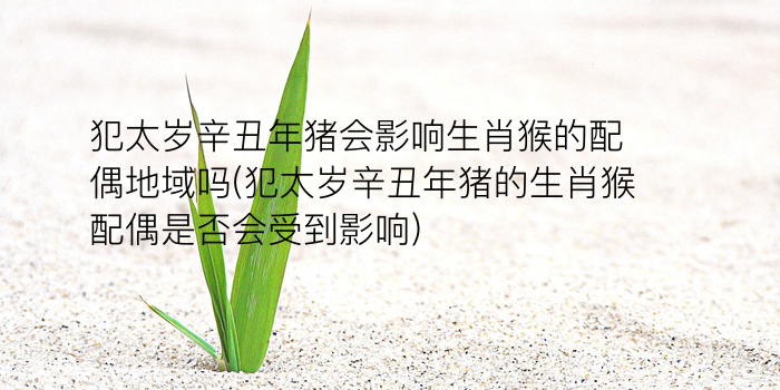 生肖马运势游戏截图