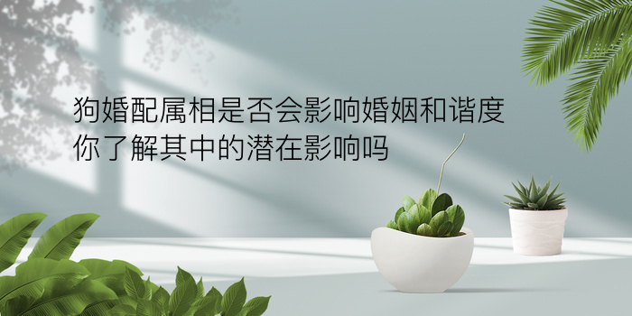 出生日期配对游戏截图