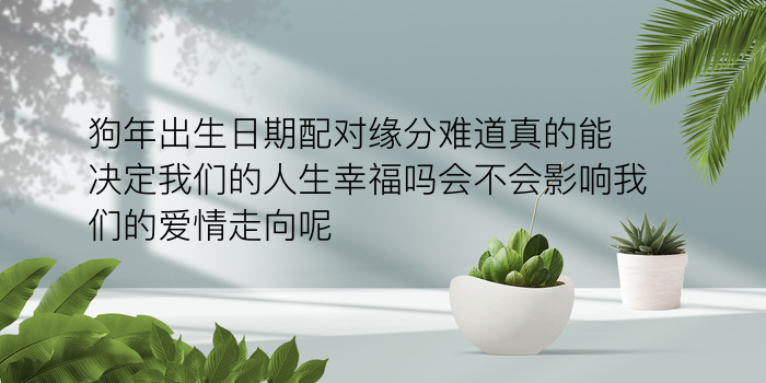 姓名配对测试打分算命游戏截图