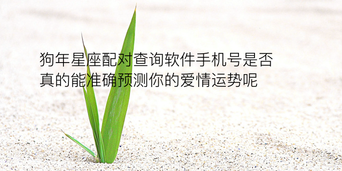 生日配对缘分游戏截图