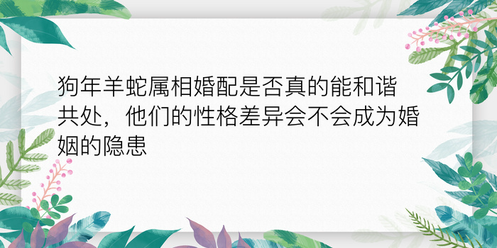 第一星座网姓名配对游戏截图