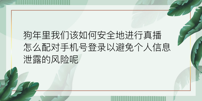 狗年里我们该如何安全地进行真播怎么配对手机号登录以避免个人信息泄露的风险呢