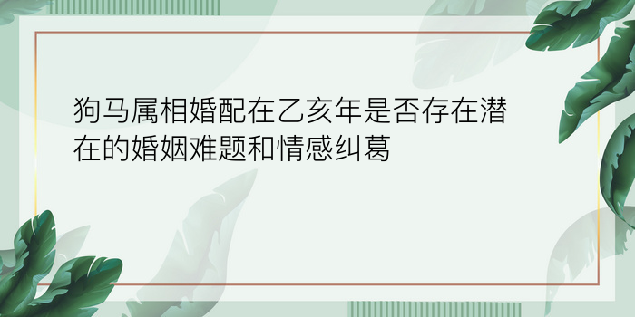 狗马属相婚配在乙亥年是否存在潜在的婚姻难题和情感纠葛