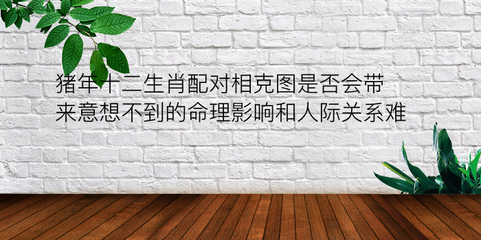 小车牌吉凶游戏截图