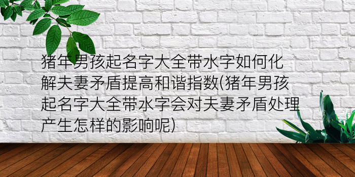 猪年男孩起名字大全带水字如何化解夫妻矛盾提高和谐指数(猪年男孩起名字大全带水字会对夫妻矛盾处理产生怎样的影响呢)