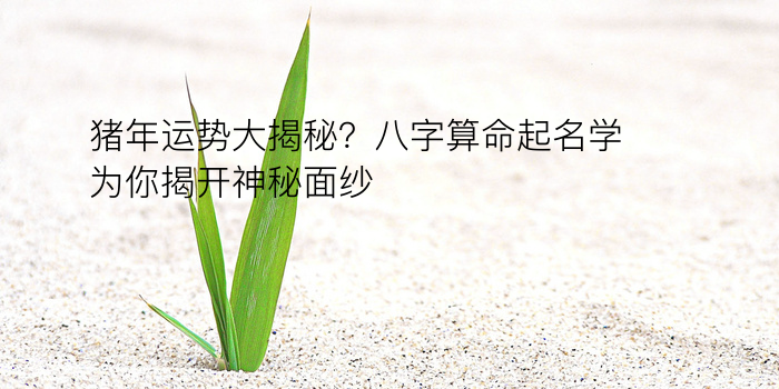 猪年运势大揭秘？八字算命起名学为你揭开神秘面纱