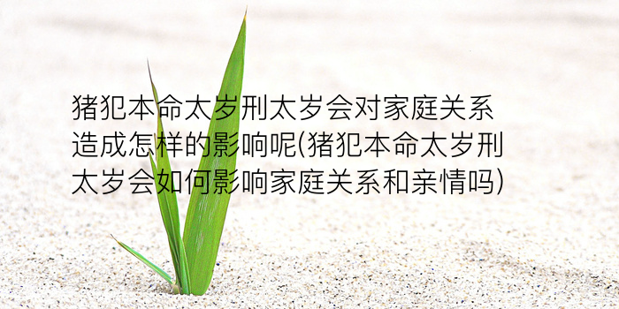 生肖运势不准游戏截图